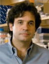 Booking Info for Rudolph Tanzi